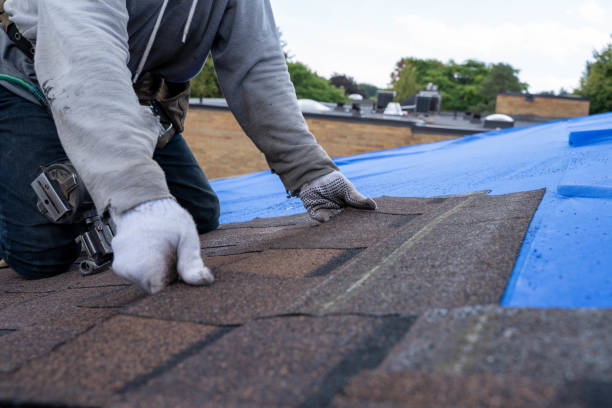 Best Flat Roof Repair Services  in Ainaloa, HI