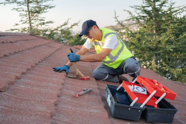 Best Emergency Roof Repair  in Ainaloa, HI